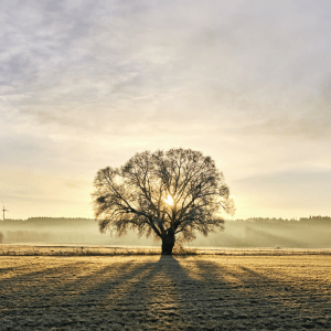 Titelbild Blogbeitrag Stille